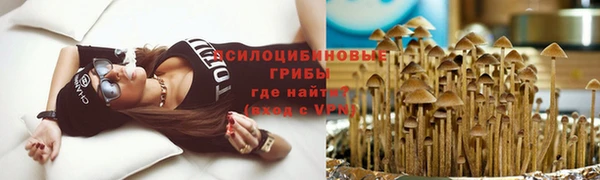 Альфа ПВП Армянск