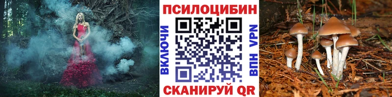 Галлюциногенные грибы Magic Shrooms  Мглин 